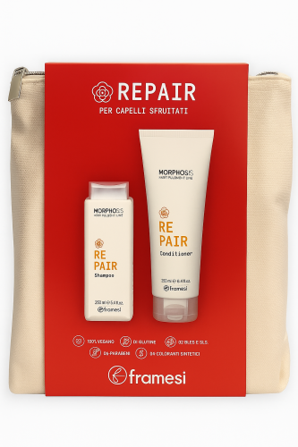 repair zestaw morphosis.png