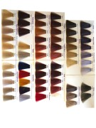 paleta fanola color.jpg