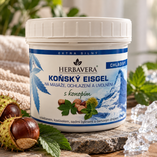 HERBAVERA BALSAM EISGEL 500ML.png